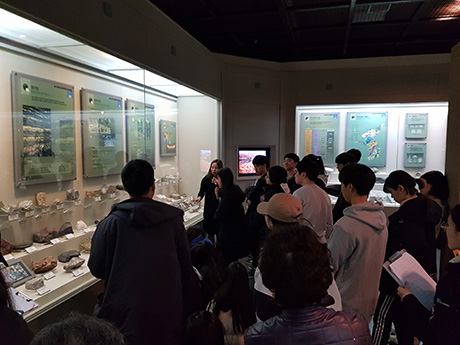 Natural History Museum Docents