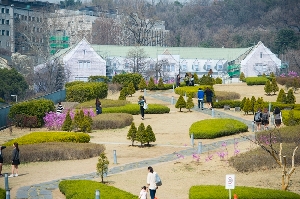 이화, 봄
