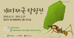 자연사박물관, 파주에서 '개미제국 탐험전' 개최 