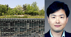 권종범 교수 연구팀, DNA 복제 돕는 암억제단백질 통해 새로운 항암제 개발 기반 마련