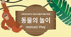 자연사박물관, 특별기획전 ‘동물의 놀이’ 개최