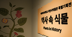자연사박물관, <역사 속 식물> 특별기획전 개최