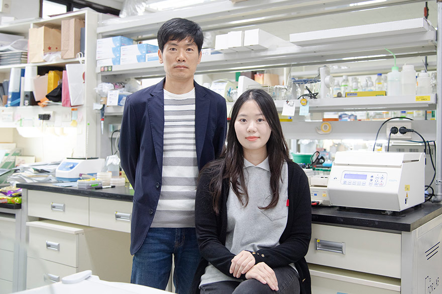 생명과학전공 김태수 교수팀 연구 결과 <Nucleic Acids Research>에 게재