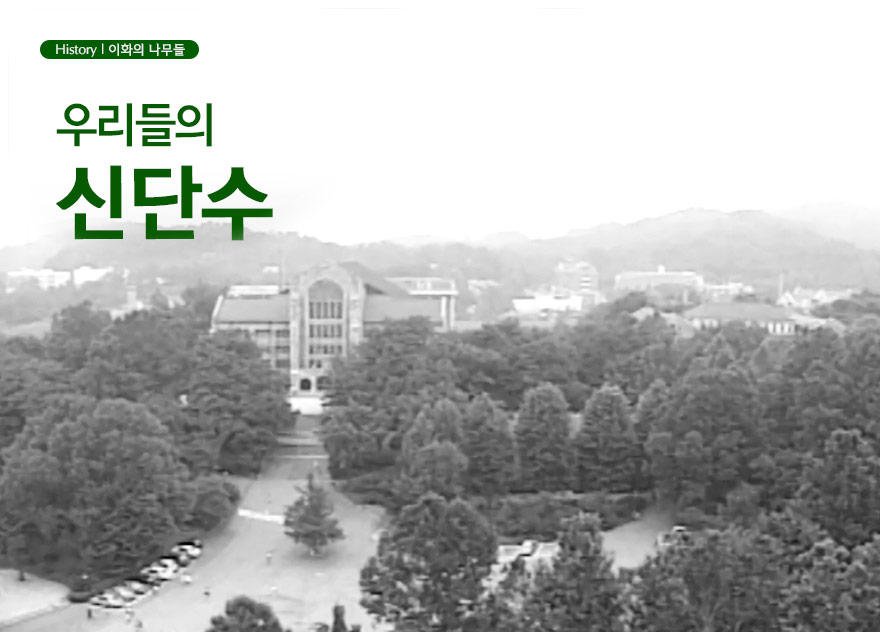 우리들의 신단수 이미지