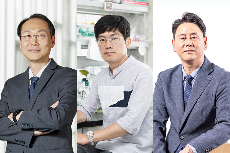 본교 연구진, 원천기술개발사업 주관기관 선정