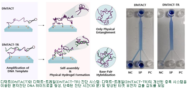 연구 설명